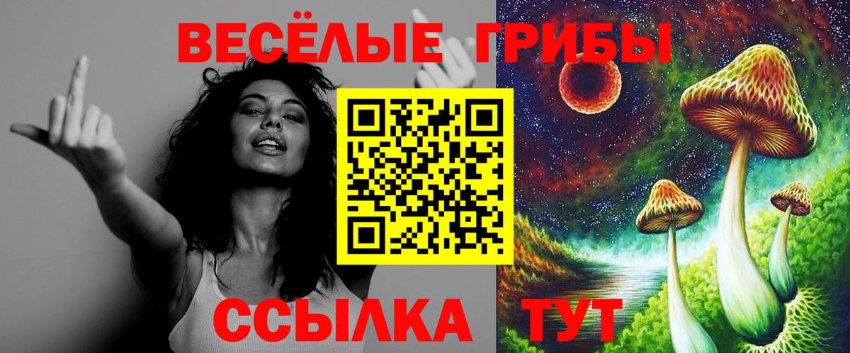Галлюциногенные грибы MAGIC MUSHROOMS  Вход с VPN  Воронеж 