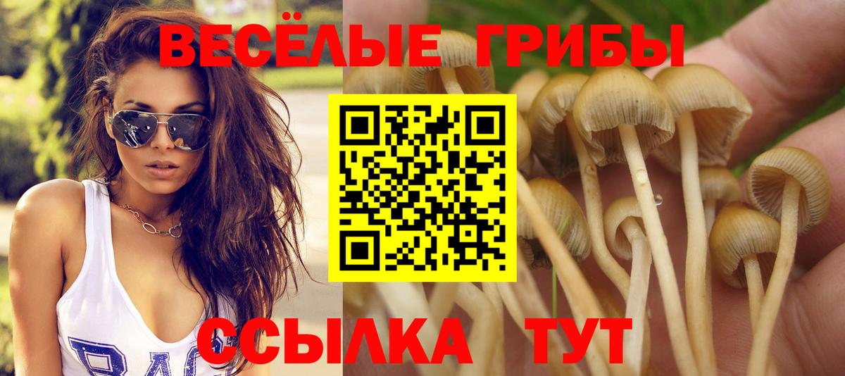 ГАШ Воронеж